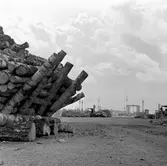 Sydöstra Sveriges Skogsägares Förbund, Mörrums Bruk