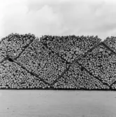 Sydöstra Sveriges Skogsägares Förbund, Mörrums Bruk