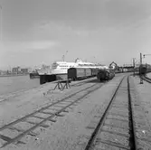 M/S Trelleborg, exteriörer, i färjeläge