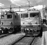 Statens Järnvägar SJ F 628, och Statens järnvägar SJ Rb1 1001 på Stockholm Central.