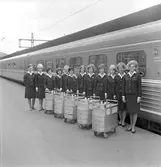 Trafikrestaurangvärdinnor och servitriser, Stockholm centralstation. Statens järnvägar SJ Y0a2 1 klass.