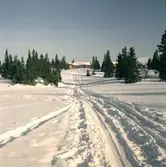 Storvallen, Jämtland