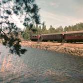 Tåg på linjen. SJ D-lok