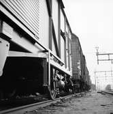 Statens Järnvägar, SJ Hbfs 51011
Fotograferad 1961 18-19/10