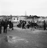 Invigning Morjärv-Kalix