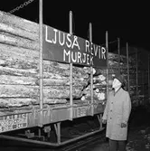 Ljuså Revir Murjek. Invigning Morjärv-Kalix