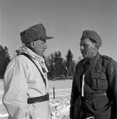 Driftvärnsgården, Tomnäs