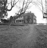 Ålandsresa. Vitsippor