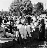 Klarahallen, salutorg. Försäljning av frukt, grönt och blommor