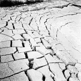 Statens Järnvägar, SJ Gasverk. Mark under utbyggnation