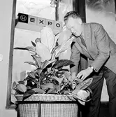 Statens Järnvägar SJ Expo på Kungsgatan.