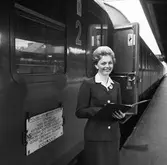 Tågvärdinna. Stockholm Central.