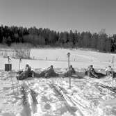 Driftvärnets vintertävling. Skidor och skytte