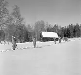 Driftvärnets vintertävling. Skidor och skytte