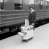 Trafikrestauranger, TR. Tågvärdinna och service-boy