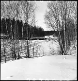 Statens Järnvägar, SJ Rb lok