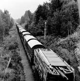 Cirkustransport med Circus Scott, Stockholm-Oslo