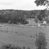 Spårrevision. Räls och slipersbyte (betongslipers). Linjen Rotebro, R - Zlpv. Kossor