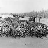 Massavedstransport Åsarna-Sundsvall, Suc