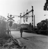 Bildserie för SJ-NTF Broschyr