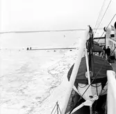 Ombord på Starke i färjeläget i Nådendal. Tågfärja Värtan - Nådendal