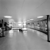 M/S Drottningen, Trelleborg