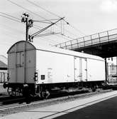 Statens Järnvägar, SJ Ibblps. INTERFRIGO