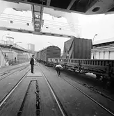 Färjeläget, Sassnitz