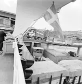 Färjeläget, Sassnitz