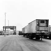 Göteborg Norra, containerterminal. Fryscontainer