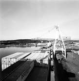 ACL - Atlantic Container Line. M/S Atlantic Song i Skandiahamnen. Containerhantering