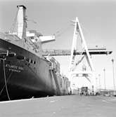 M/S Atlantic Song i Skandiahamnen. Byggdes 1967 av Ateliers et Chantiers, Dunkerque, Frankrike och levererades till Rederi AB Soya, Stockholm. Ingick i Atlantic Container Line för trafik över Atlanten