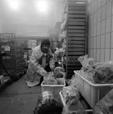 Trafikrestaurangers, TR, vagnbas på Centralstationen. Frysavdelning