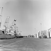 ASSI Piteå Haraholmen.