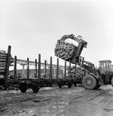 Statens Järnvägar, SJ Lp. Trä- och massavedslastade vagnar Gävle-Korsnäs-Marma, Skutskär.