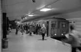 Hagsätra Stockholms Lokaltrafik Tunnelbana. Ändstation för linje T-19.