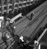 Färjeläget i Warnemünde.