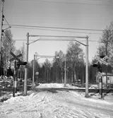 Automatisk vägsignalanläggning med gasljussignaler och klocksignal. Bevakad övergång. Kryssmärke: Varning för Tåg. Sträckan Uppsala - Sala.