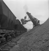 Statens Järnvägar, SJ Mas 34290. Malmlastning vid Svartön.