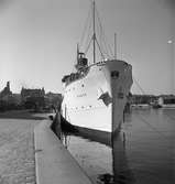 Ångfartyget S/S Örnen i Malmö hamn. Gick mellan Malmö-Köpemhamn mellan 1951-1959.