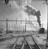 Ånglok växlar på bangården