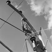 Elektrifiering av linjen Ånge-Sundsvall. Monteringsarbeten.
Fastsättning av återgångsledning.