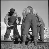 Banarbetare justerar ballasten under spåren med vibratorspett.