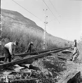 Spårjustering, slipersbyte.