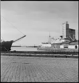 Ystad hamn vid Nils Holgersson turen med Statens Järnvägar, SJ.