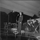 Statens Järnvägar, SJ gör reklam för Nils Holgersson turen.