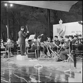 Statens Järnvägar, SJ gör reklam för Nils Holgersson turen.