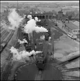 Ånglok vid bangård.