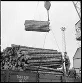 Lastning av timmer. Trafikaktiebolaget Grängesberg–Oxelösunds Järnvägar, TGOJ M2 2451.