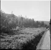 Tåget har stannat vid gångvägen upp till Luppioberget på linjen mellan Norra Niemis och Alkullen.